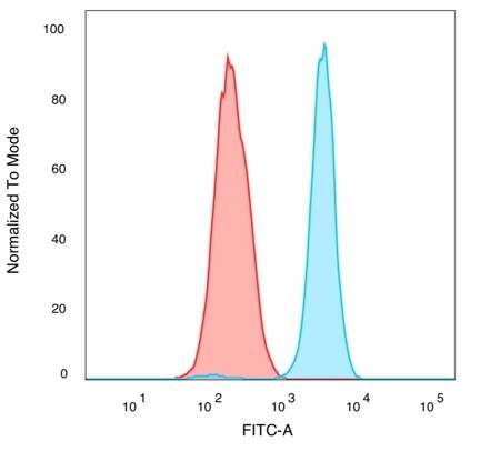QKI/Quaking Antibody (PCRP-QKI-2F10) - Azide and BSA Free Flow Cytometry: QKI/Quaking Antibody (PCRP-QKI-2F10) - Azide and BSA Free [NBP3-14072] -