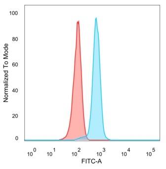 ID1 Antibody (PCRP-ID1-2F11) - Azide and BSA Free Flow Cytometry: ID1 Antibody (PCRP-ID1-2F11) - Azide and BSA Free [NBP3-14075] -