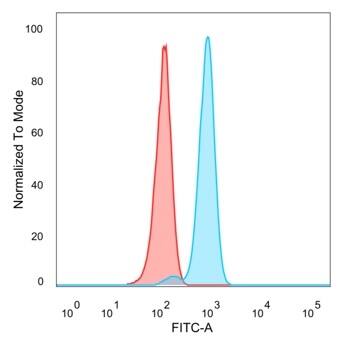 IRF3 Antibody (PCRP-IRF3-3B2) - Azide and BSA Free Western Blot: IRF3 Antibody (PCRP-IRF3-3B2) - Azide and BSA Free [NBP3-14106] -