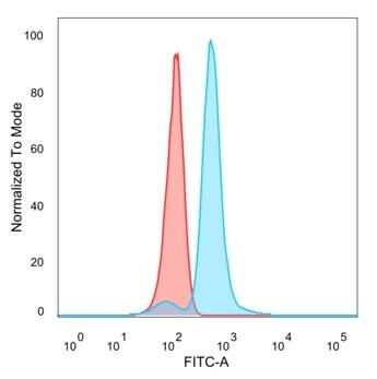 DNA Polymerase epsilon subunit 3 Antibody (PCRP-POLE3-3D3) - Azide and BSA Free Flow Cytometry: DNA Polymerase epsilon subunit 3 Antibody (PCRP-POLE3-3D3) - Azide and BSA Free [NBP3-14143] -