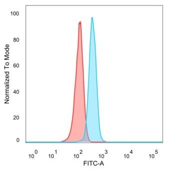 ZNF704 Antibody (PCRP-ZNF704-3C10) - Azide and BSA Free Flow Cytometry: ZNF704 Antibody (PCRP-ZNF704-3C10) - Azide and BSA Free [NBP3-14168] -