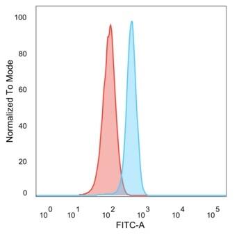 RXR gamma/NR2B3 Antibody (PCRP-RXRG-5G6) - Azide and BSA Free Flow Cytometry: RXR gamma/NR2B3 Antibody (PCRP-RXRG-5G6) - Azide and BSA Free [NBP3-14169] -