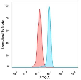 Serum Response Factor SRF Antibody (PCRP-SRF-1F7) - Azide and BSA Free Flow Cytometry: Serum Response Factor SRF Antibody (PCRP-SRF-1F7) - Azide and BSA Free [NBP3-14188] -
