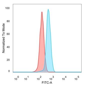 ZHX3 Antibody (PCRP-ZHX3-1D11) - Azide and BSA Free Flow Cytometry: ZHX3 Antibody (PCRP-ZHX3-1D11) - Azide and BSA Free [NBP3-14225] -