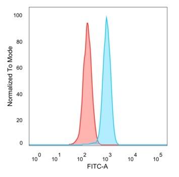 ZHX3 Antibody (PCRP-ZHX3-1G3) - Azide and BSA Free Flow Cytometry: ZHX3 Antibody (PCRP-ZHX3-1G3) - Azide and BSA Free [NBP3-14230] -
