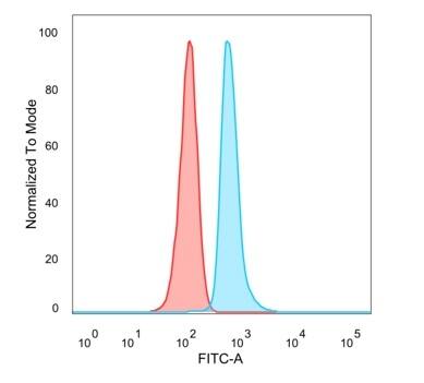 DMRT2 Antibody (PCRP-DMRT2-1B11) - Azide and BSA Free Flow Cytometry: DMRT2 Antibody (PCRP-DMRT2-1B11) - Azide and BSA Free [NBP3-14270] -