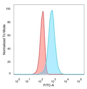 CUGBP2 Antibody (PCRP-CELF2-1E4) - Azide and BSA Free Flow Cytometry: CUGBP2 Antibody (PCRP-CELF2-1E4) - Azide and BSA Free [NBP3-14271] -
