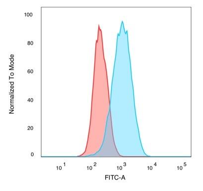 CUGBP2 Antibody (PCRP-CELF2-1E4) - Azide and BSA Free Immunocytochemistry/ Immunofluorescence: CUGBP2 Antibody (PCRP-CELF2-1E4) - Azide and BSA Free [NBP3-14271] -
