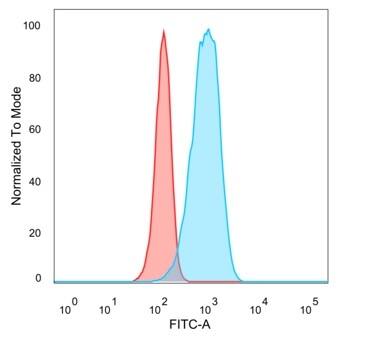 CUGBP2 Antibody (PCRP-CELF2-1E4) - Azide and BSA Free Flow Cytometry: CUGBP2 Antibody (PCRP-CELF2-1E4) - Azide and BSA Free [NBP3-14271] -