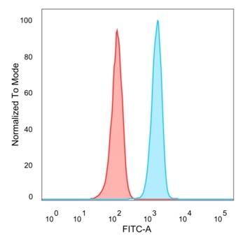 Sirtuin 3/SIRT3 Antibody (PCRP-SIRT3-1C10) - Azide and BSA Free Flow Cytometry: Sirtuin 3/SIRT3 Antibody (PCRP-SIRT3-1C10) - Azide and BSA Free [NBP3-14289] -
