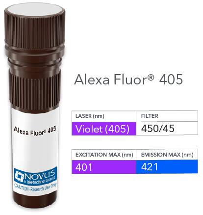 NKp46/NCR1 Antibody (B-L46) [Alexa Fluor® 405]