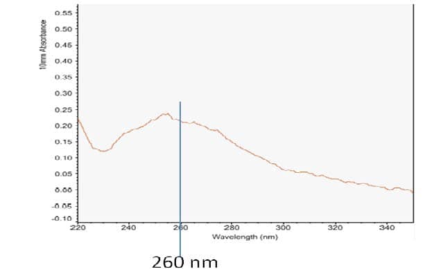 Exosome RNA (Pre-Isolated Exosomes) Extraction Kit