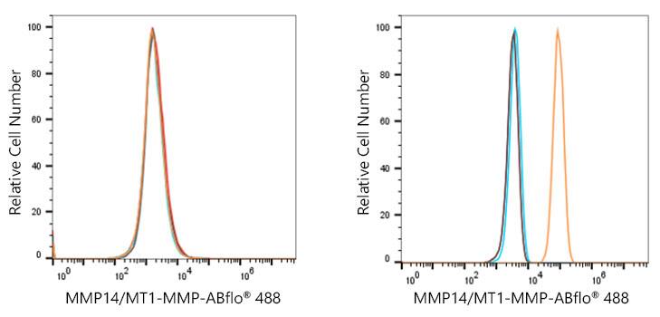 MMP-14/MT1-MMP Antibody (6T7L3)
