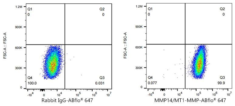 MMP-14/MT1-MMP Antibody (6T7L3)