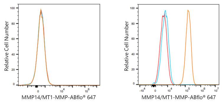 MMP-14/MT1-MMP Antibody (6T7L3)