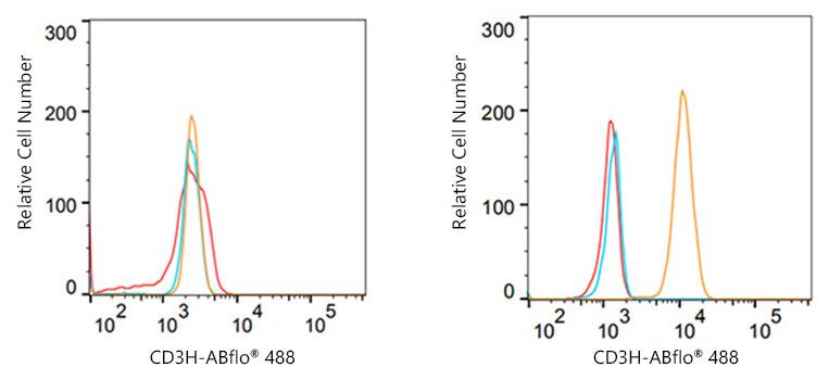 CD3 zeta Antibody (1T5R7)