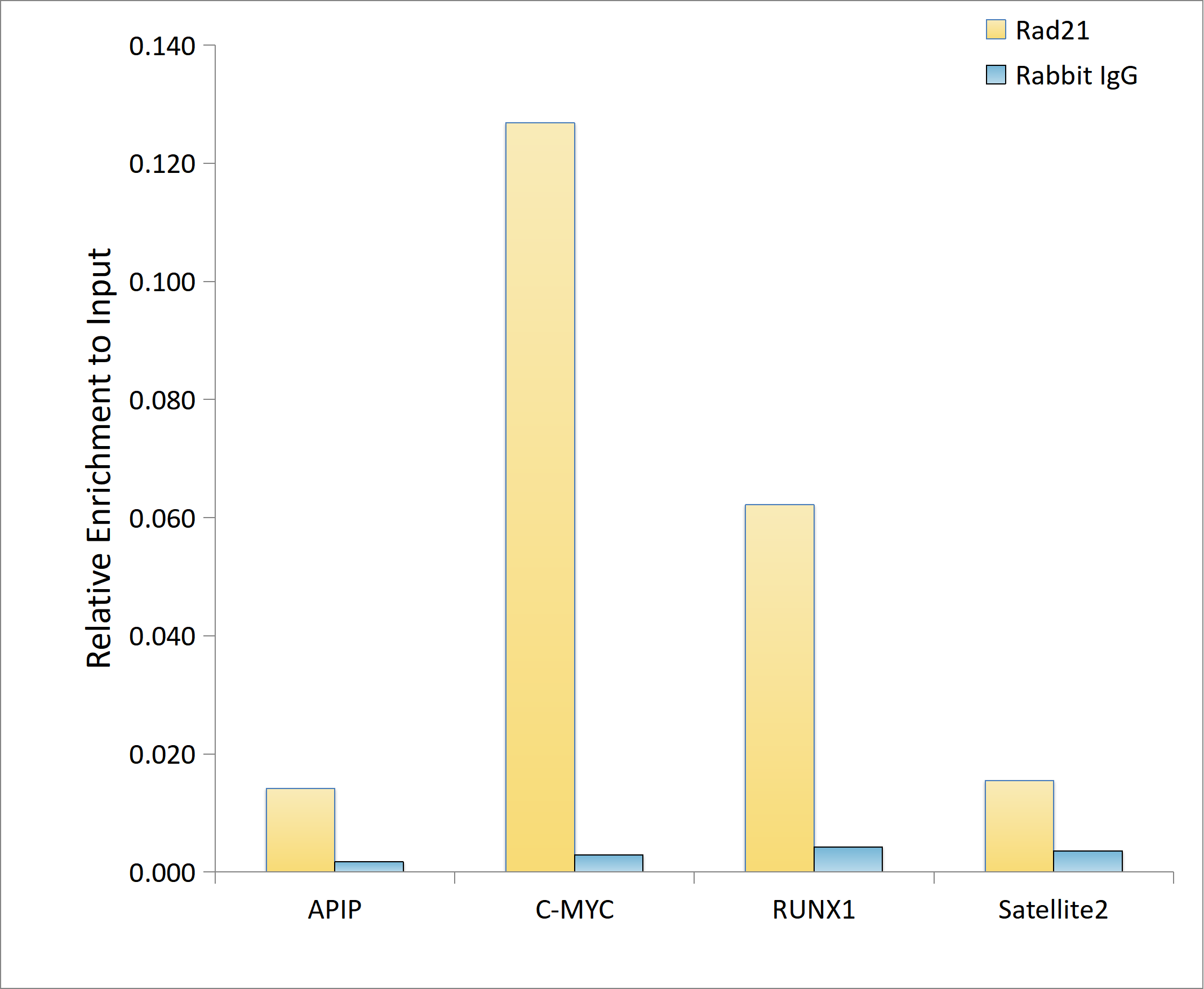 Rad21 Antibody - Azide and BSA Free