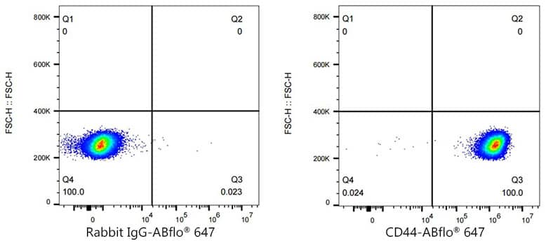 CD44 Antibody (9W6E7)
