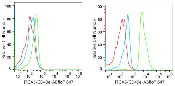Integrin alpha 5/CD49e Antibody (8F2O6)