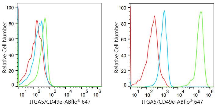 Integrin alpha 5/CD49e Antibody (8F2O6)