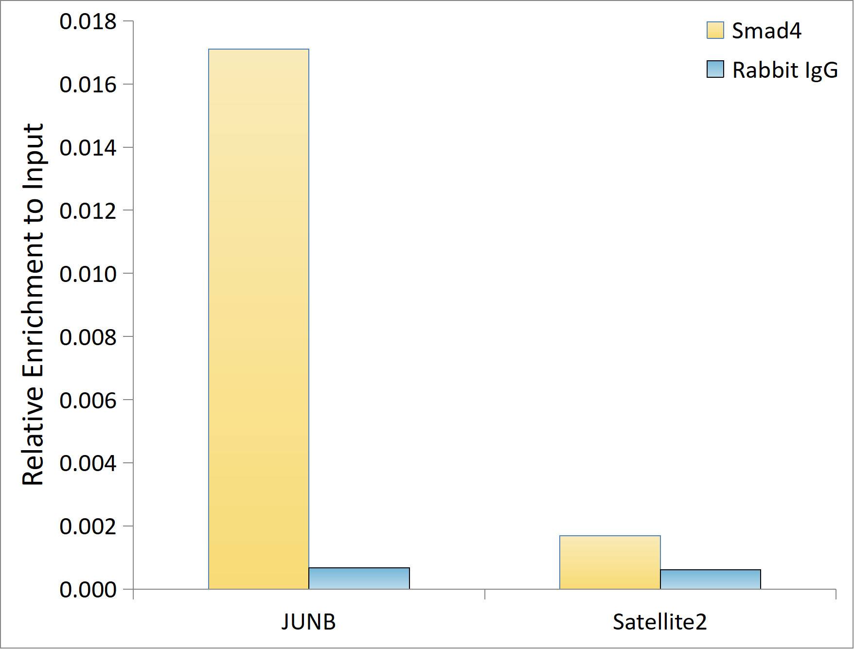 Smad4 Antibody (6B4D6)