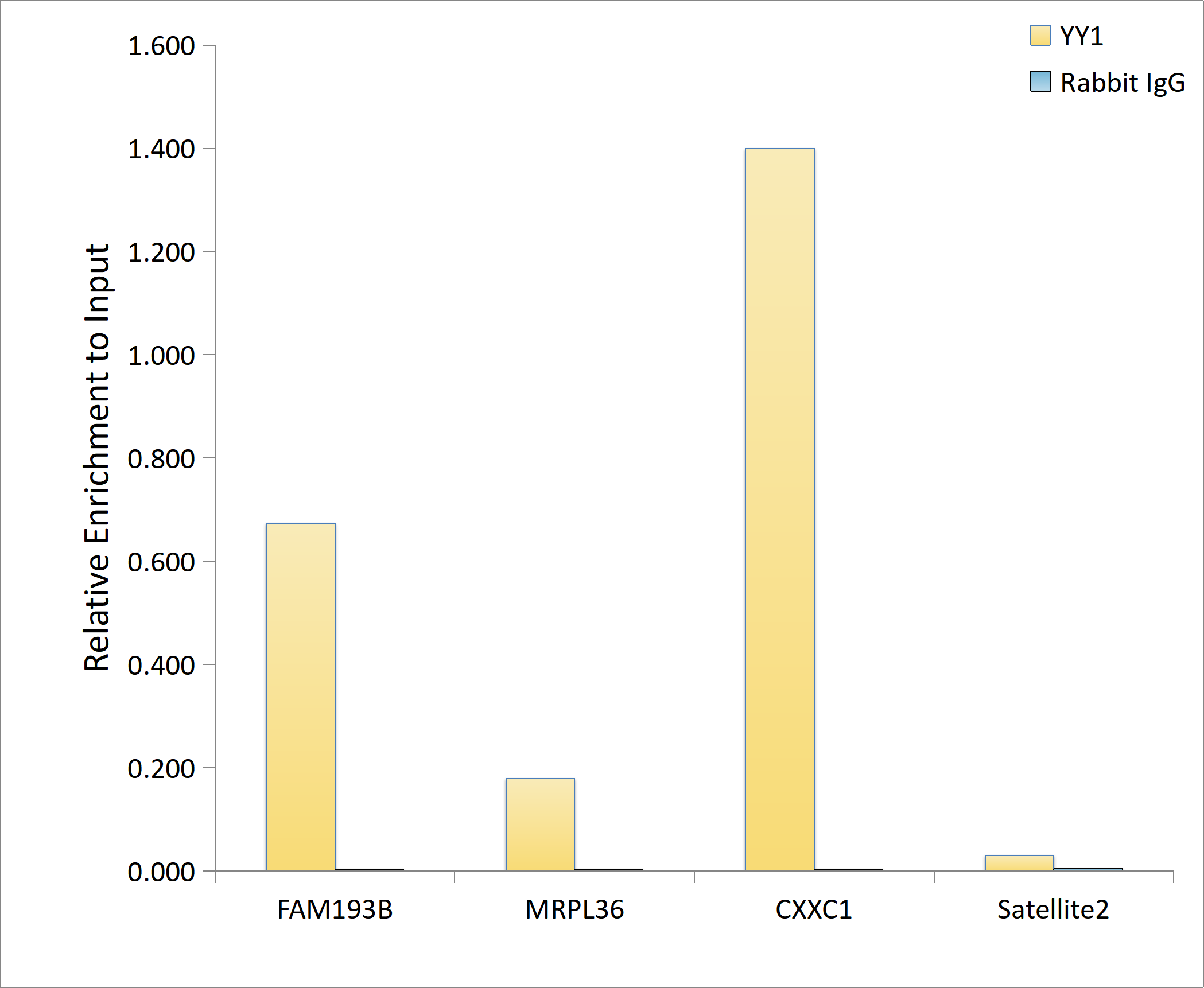 YY1 Antibody (6J6L1)