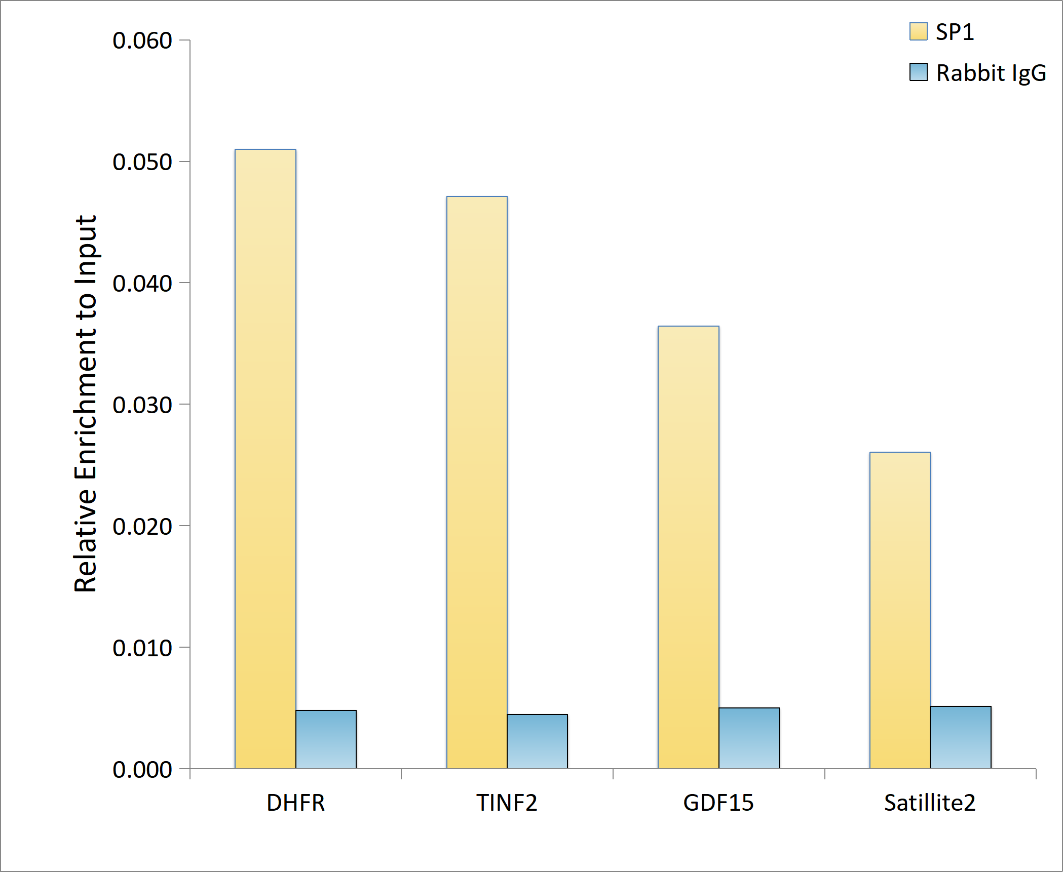 SP1 Antibody (5I3A8)
