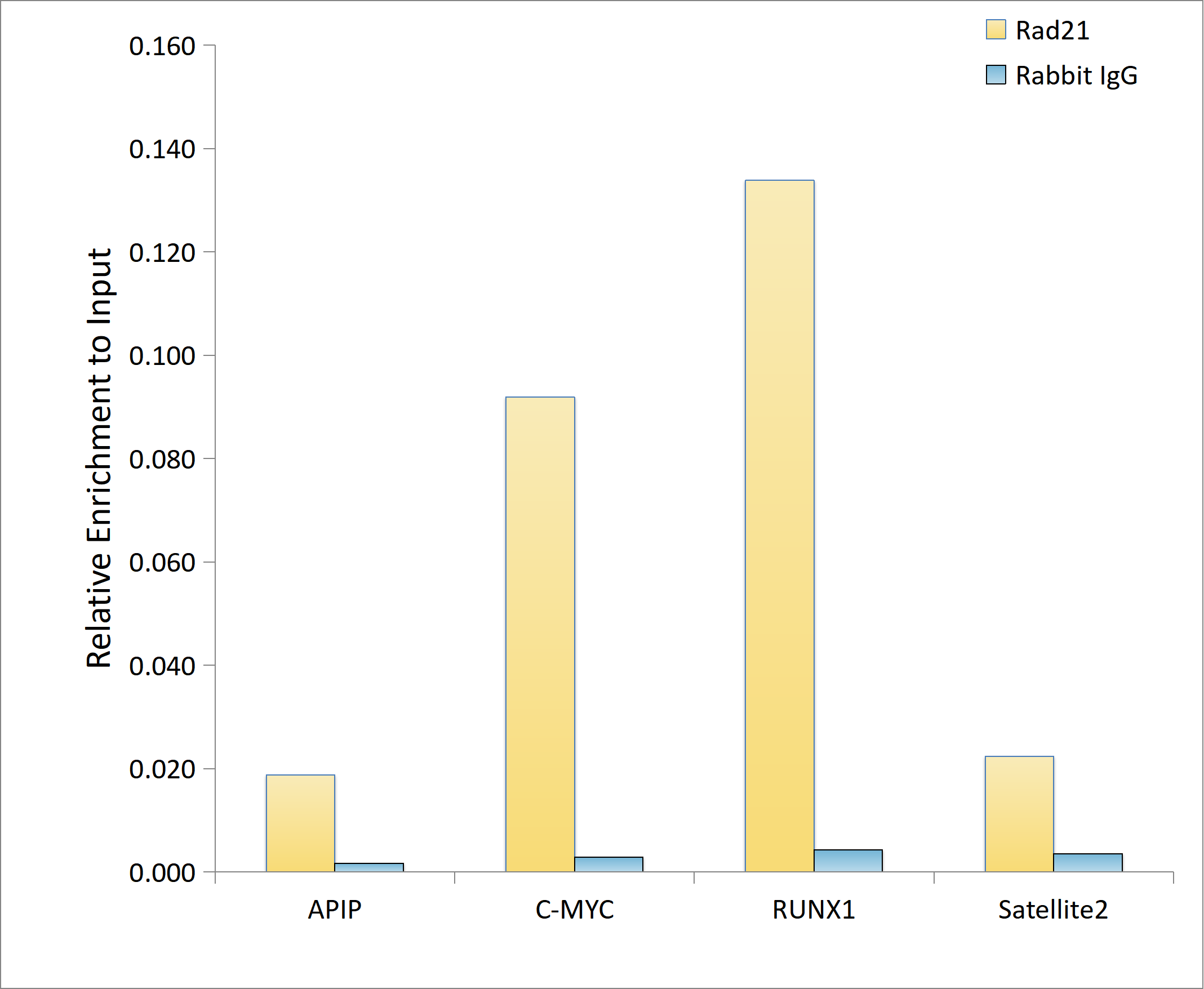 Rad21 Antibody (9H0H6)