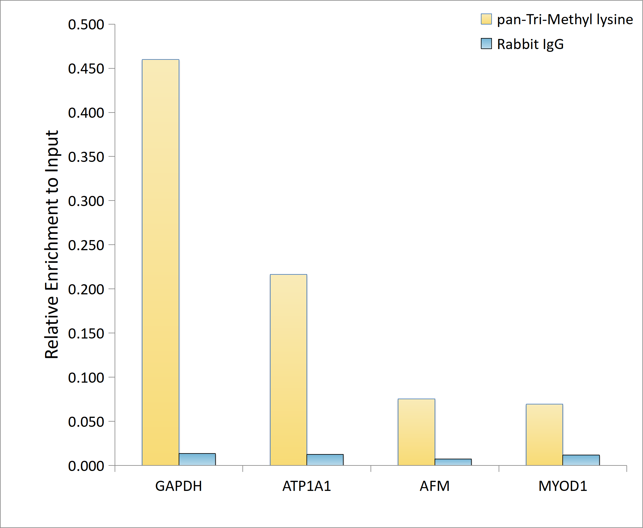 Methyl-Lysine Antibody - Azide and BSA Free