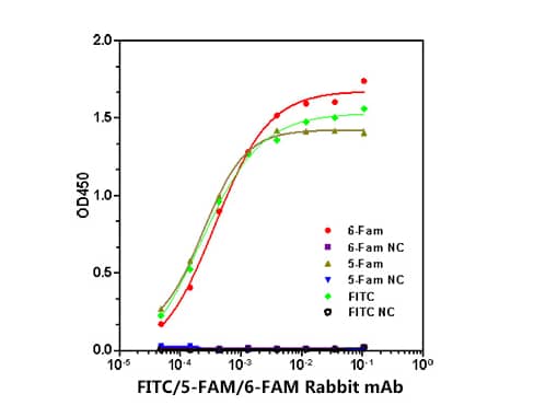 FITC Antibody (6R1B5)