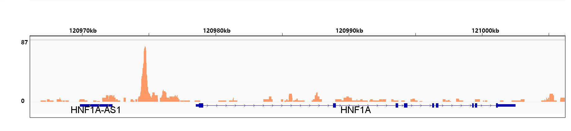 HMGA1 Antibody (5J0E6)