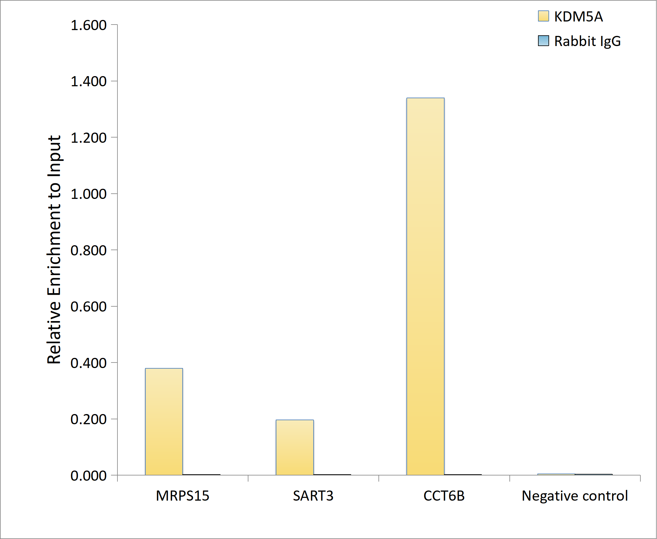 Jarid1A Antibody (5B10P1)