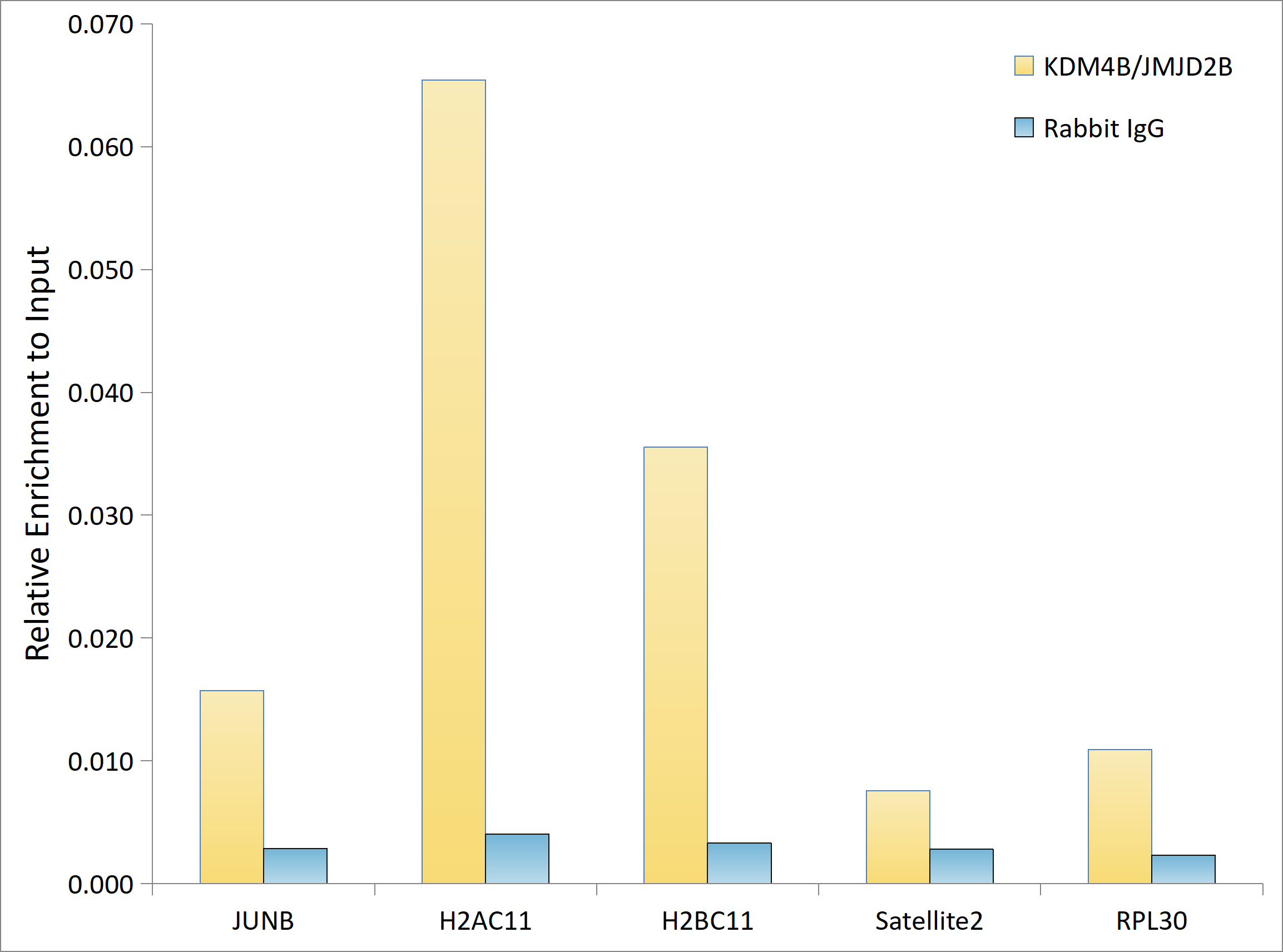 JMJD2B Antibody (8I0I1)