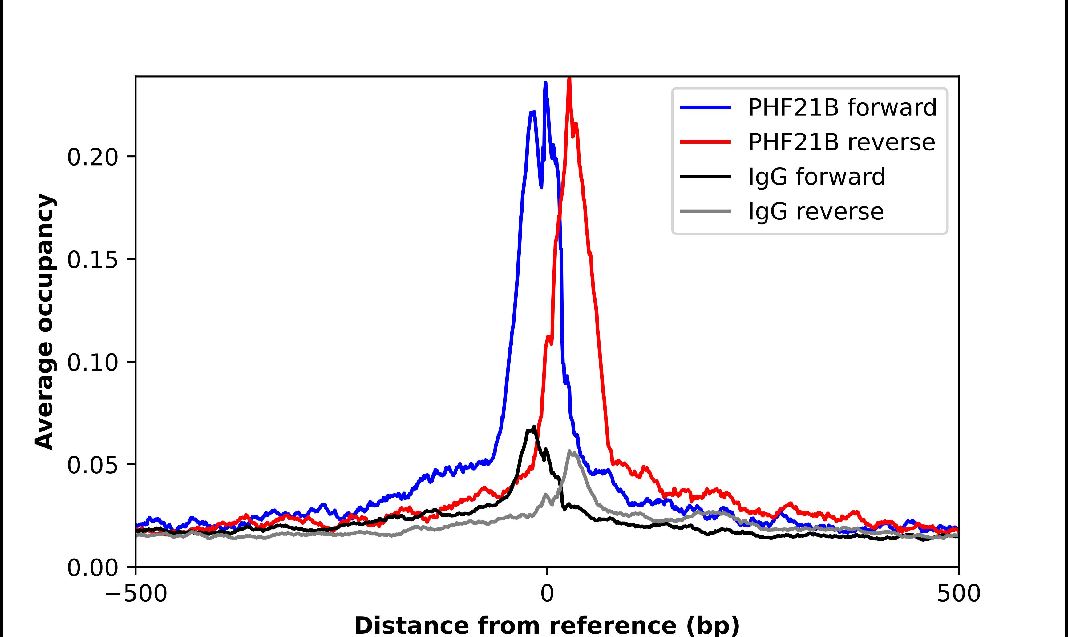 PHF21B Antibody - BSA Free Chromatin Immunoprecipitation-exo-Seq: PHF21B Antibody - BSA Free [NBP3-17085]