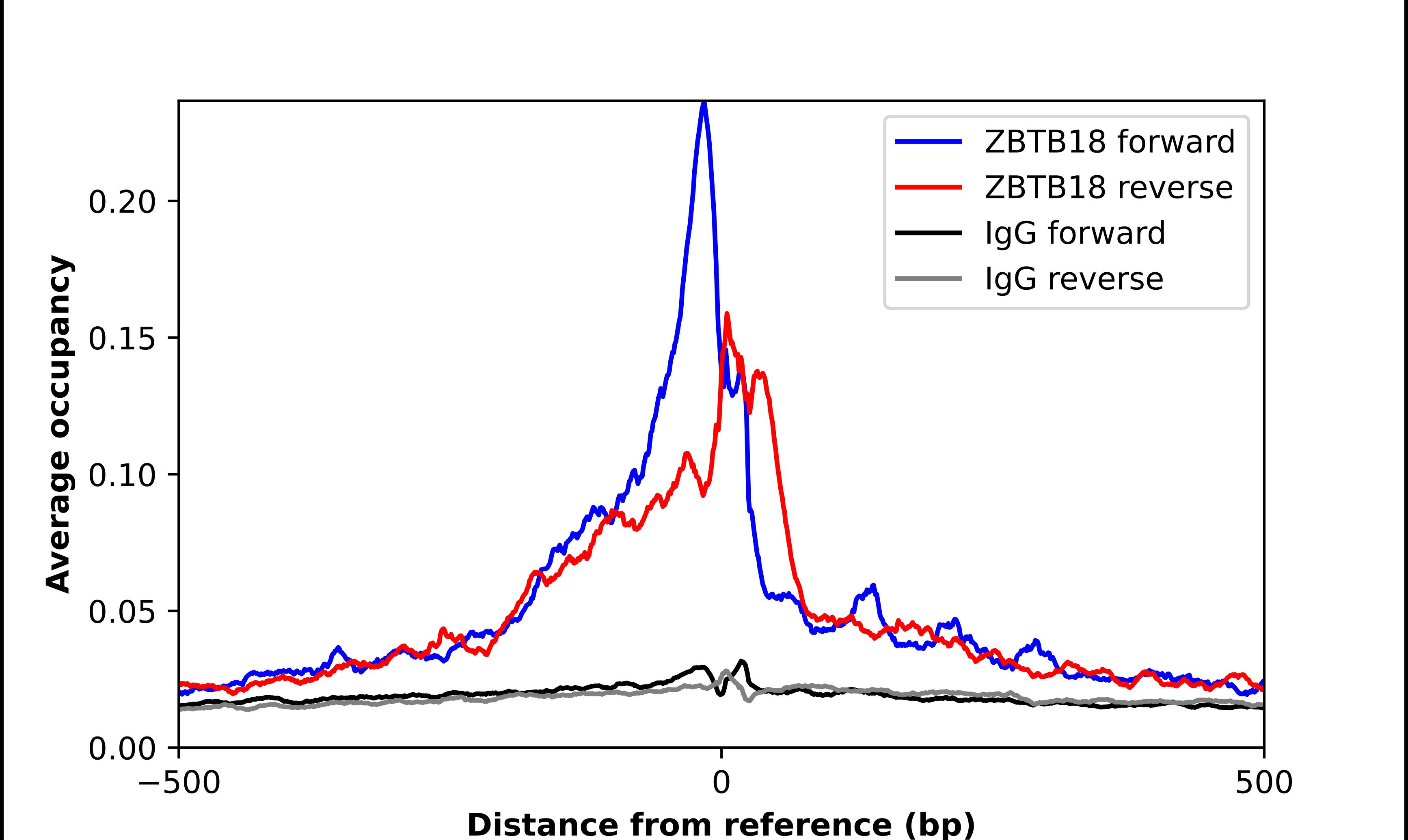 ZNF238 Antibody - BSA Free Chromatin Immunoprecipitation-exo-Seq: ZNF238 Antibody - BSA Free [NBP3-17097]