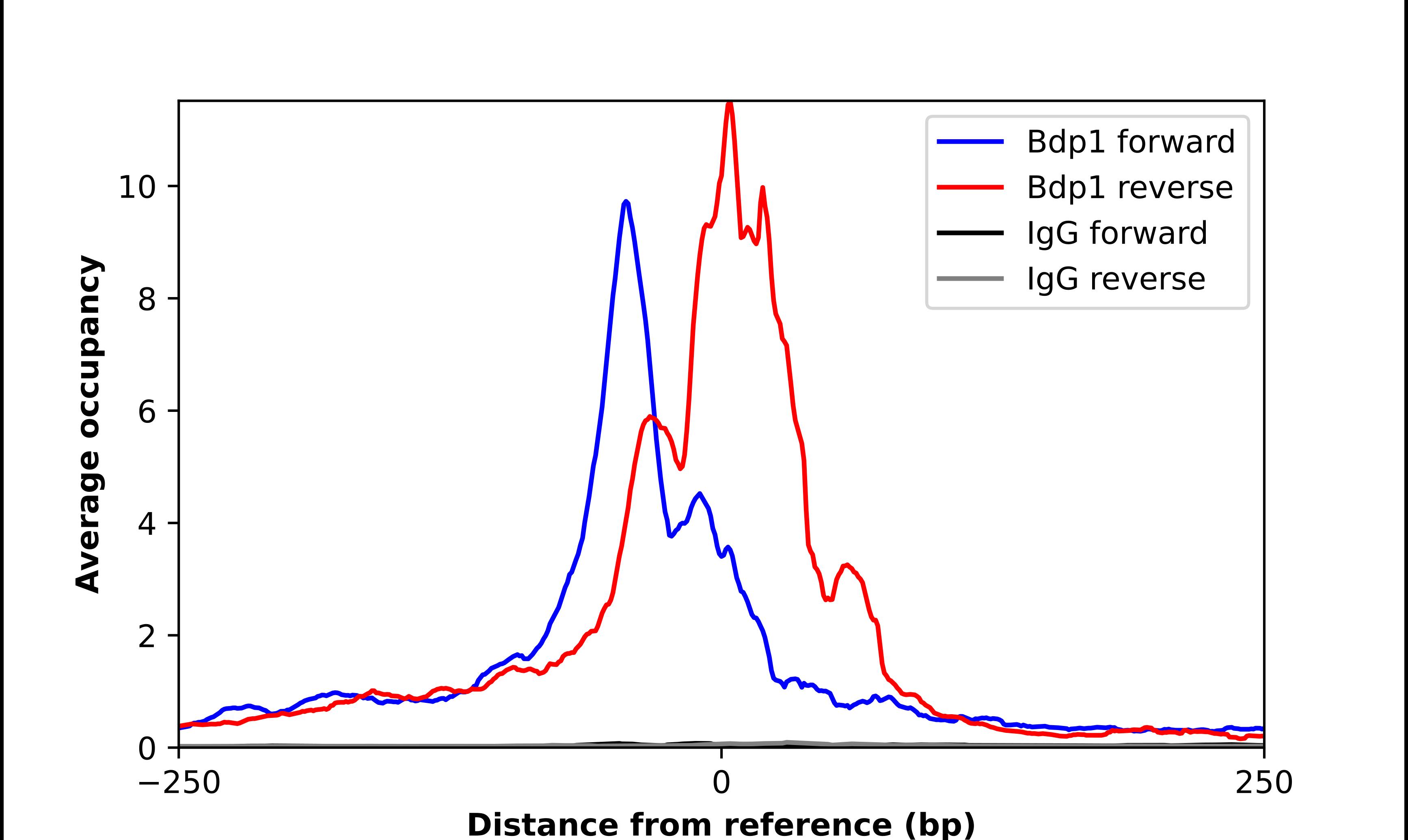 TAF3B1 Antibody - BSA Free Chromatin Immunoprecipitation-exo-Seq: TAF3B1 Antibody - BSA Free [NBP3-17176]