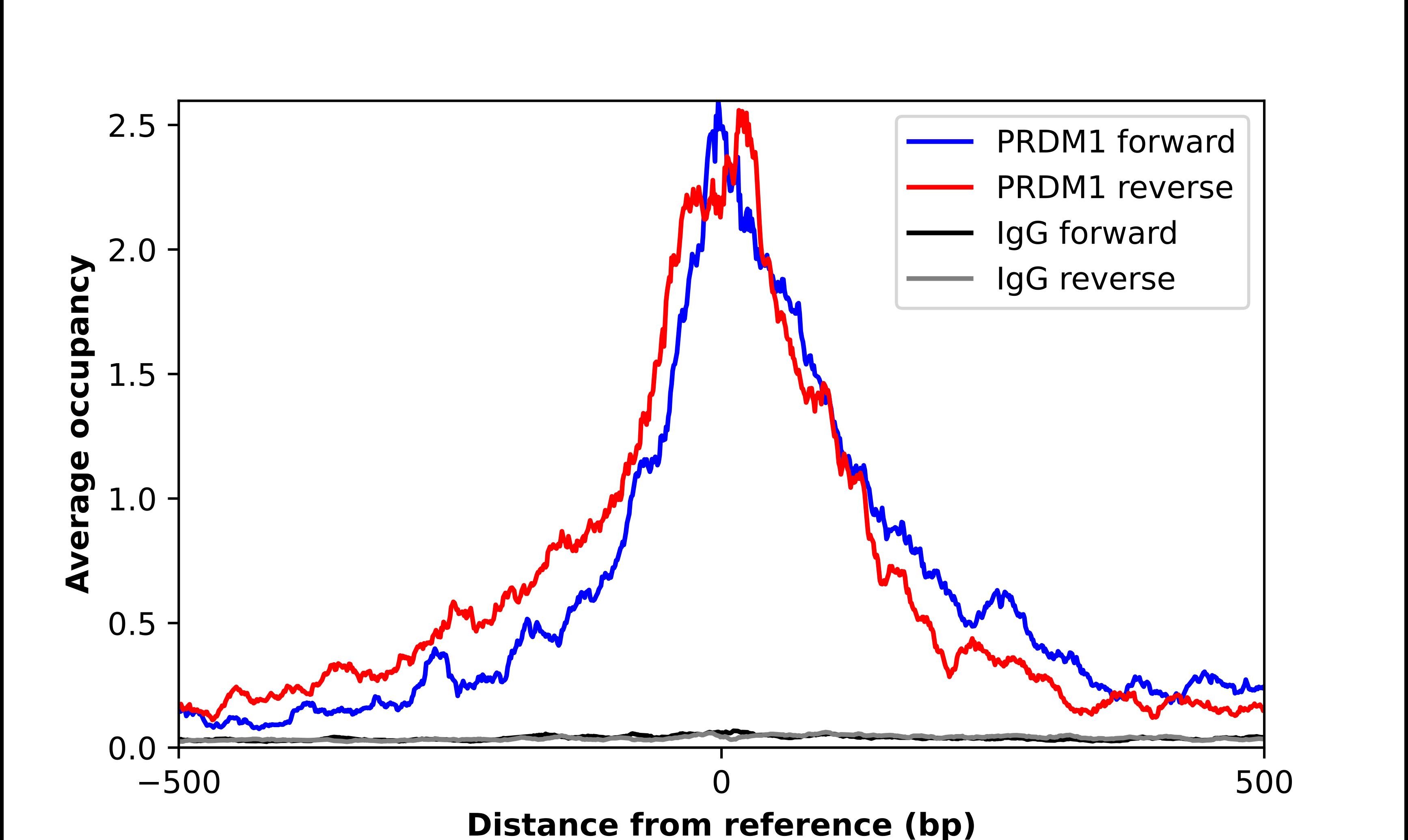 BLIMP1/PRDM1 Antibody - BSA Free Chromatin Immunoprecipitation-exo-Seq: BLIMP1/PRDM1 Antibody - BSA Free [NBP3-17184]