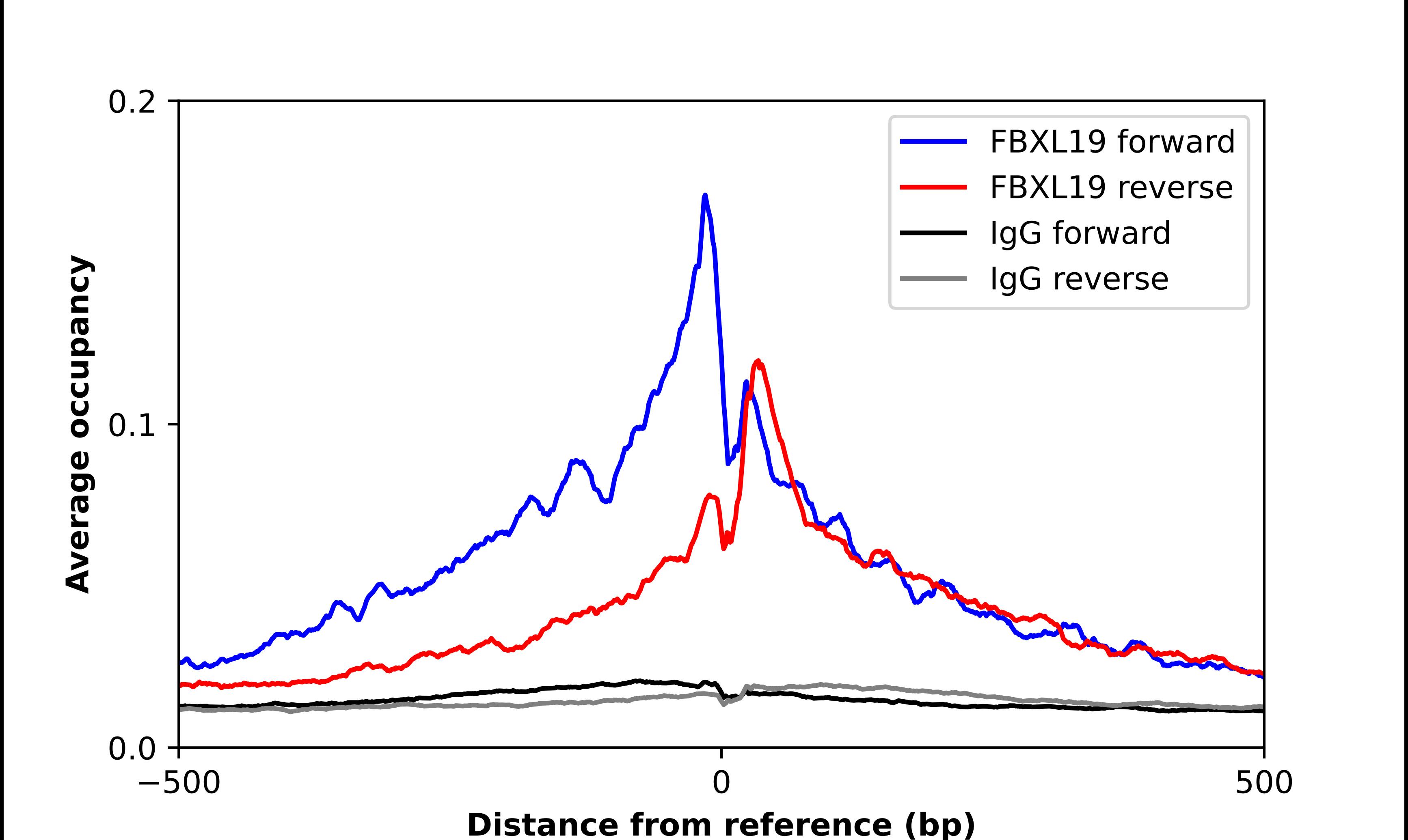 FBXL19 Antibody - BSA Free Chromatin Immunoprecipitation ChIP: FBXL19 Antibody - BSA Free
