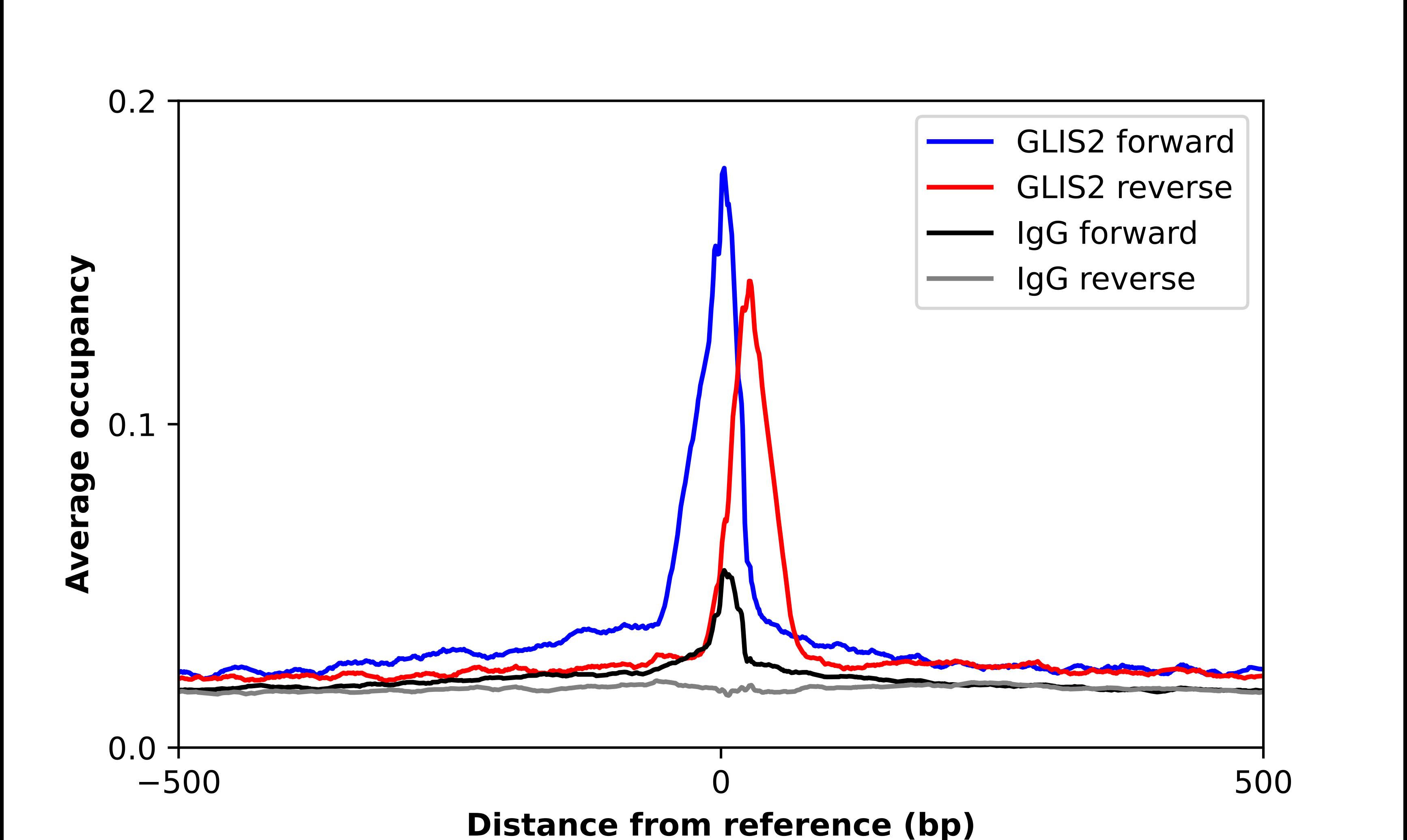 GliS2 Antibody - BSA Free Chromatin Immunoprecipitation ChIP: GliS2 Antibody - BSA Free