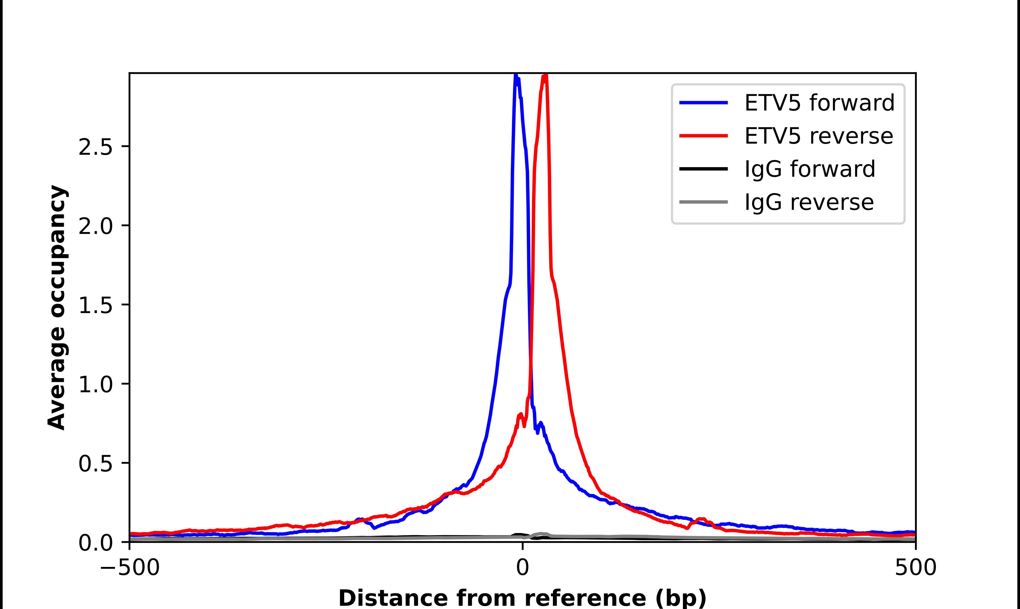 ETV5/ERM Antibody - BSA Free Chromatin Immunoprecipitation-exo-Seq: ETV5/ERM Antibody - BSA Free [NBP3-17656]