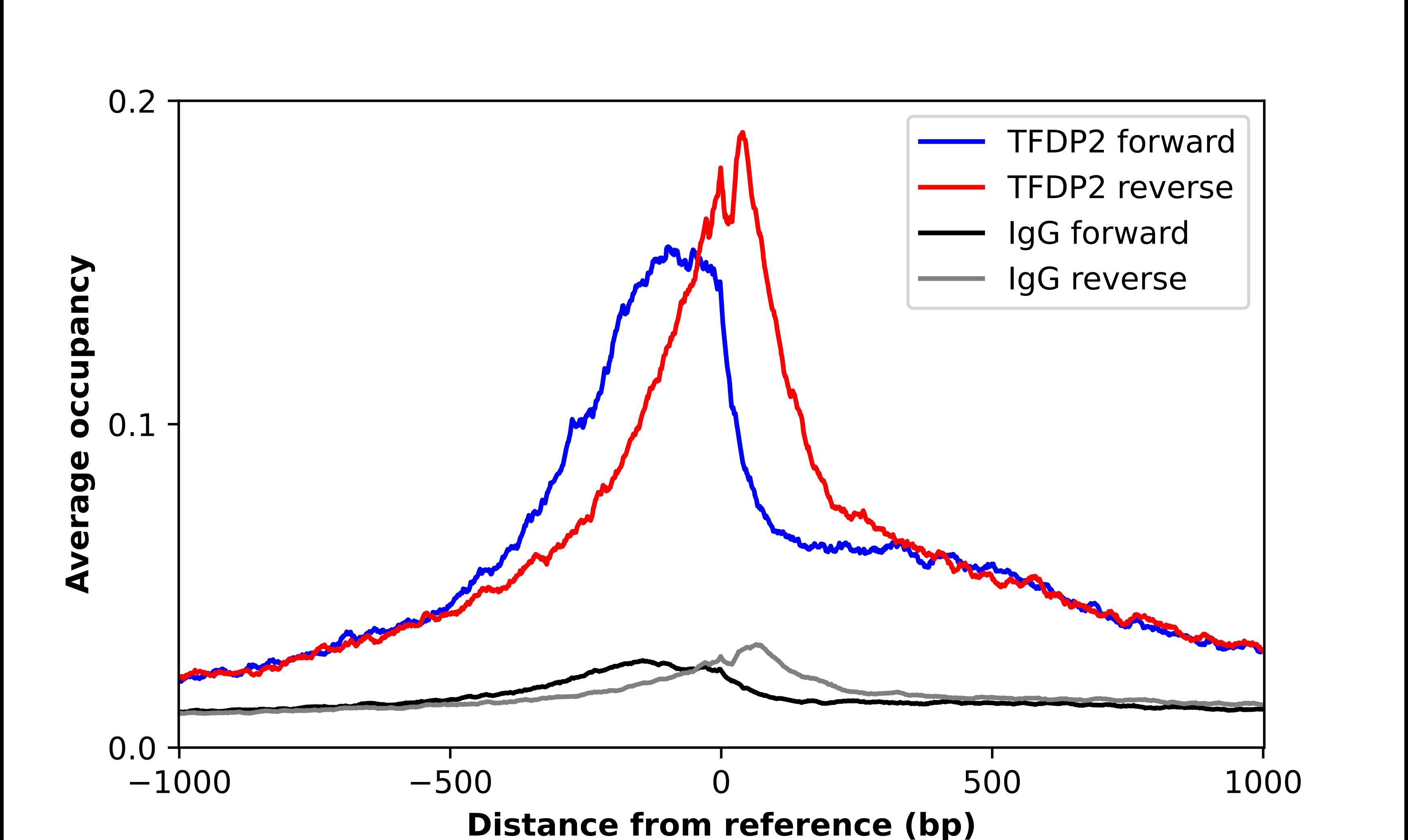 DP2 Antibody - BSA Free Chromatin Immunoprecipitation-exo-Seq: DP2 Antibody - BSA Free [NBP3-17703]