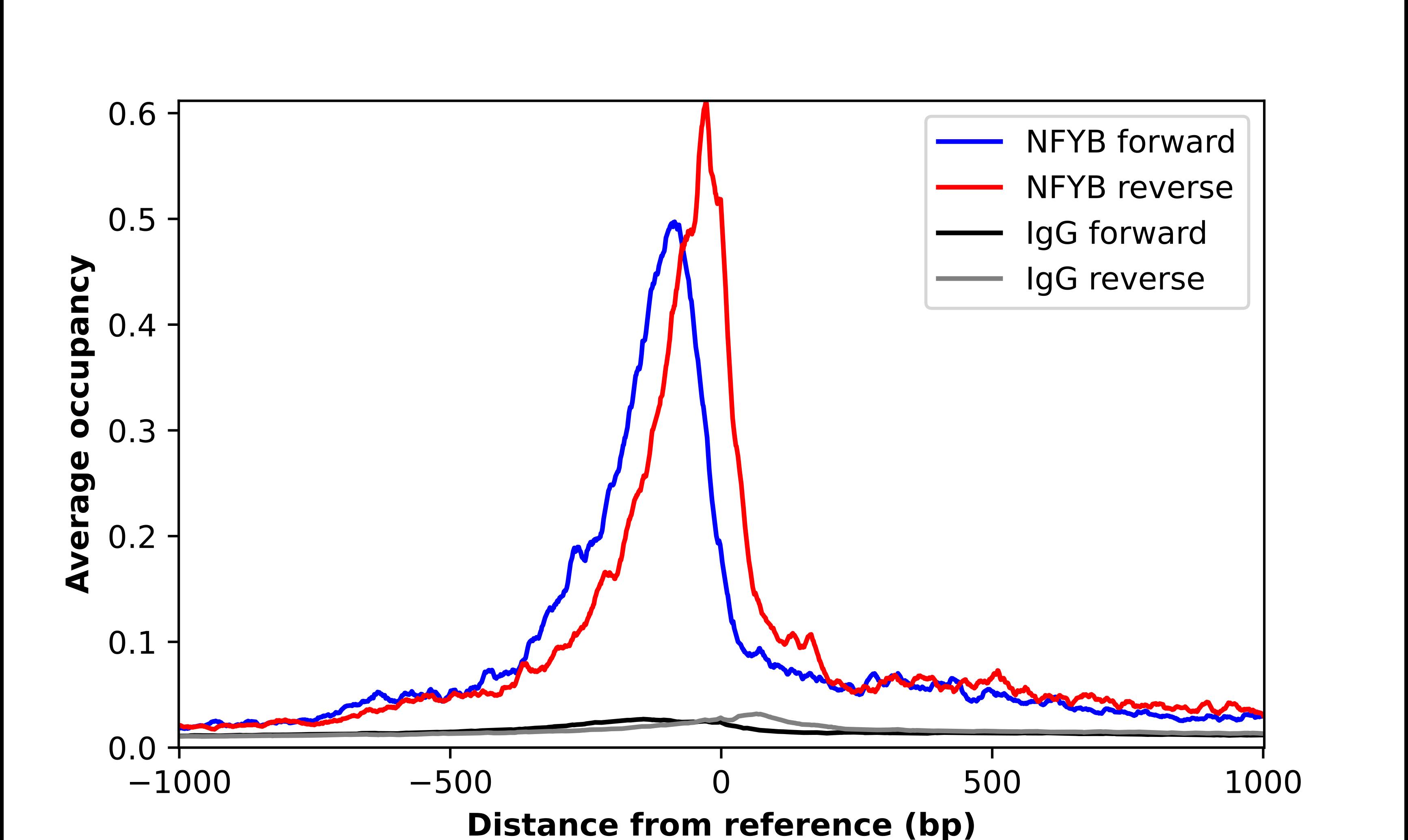NFYB Antibody - BSA Free Chromatin Immunoprecipitation-exo-Seq: NFYB Antibody - BSA Free [NBP3-17745]