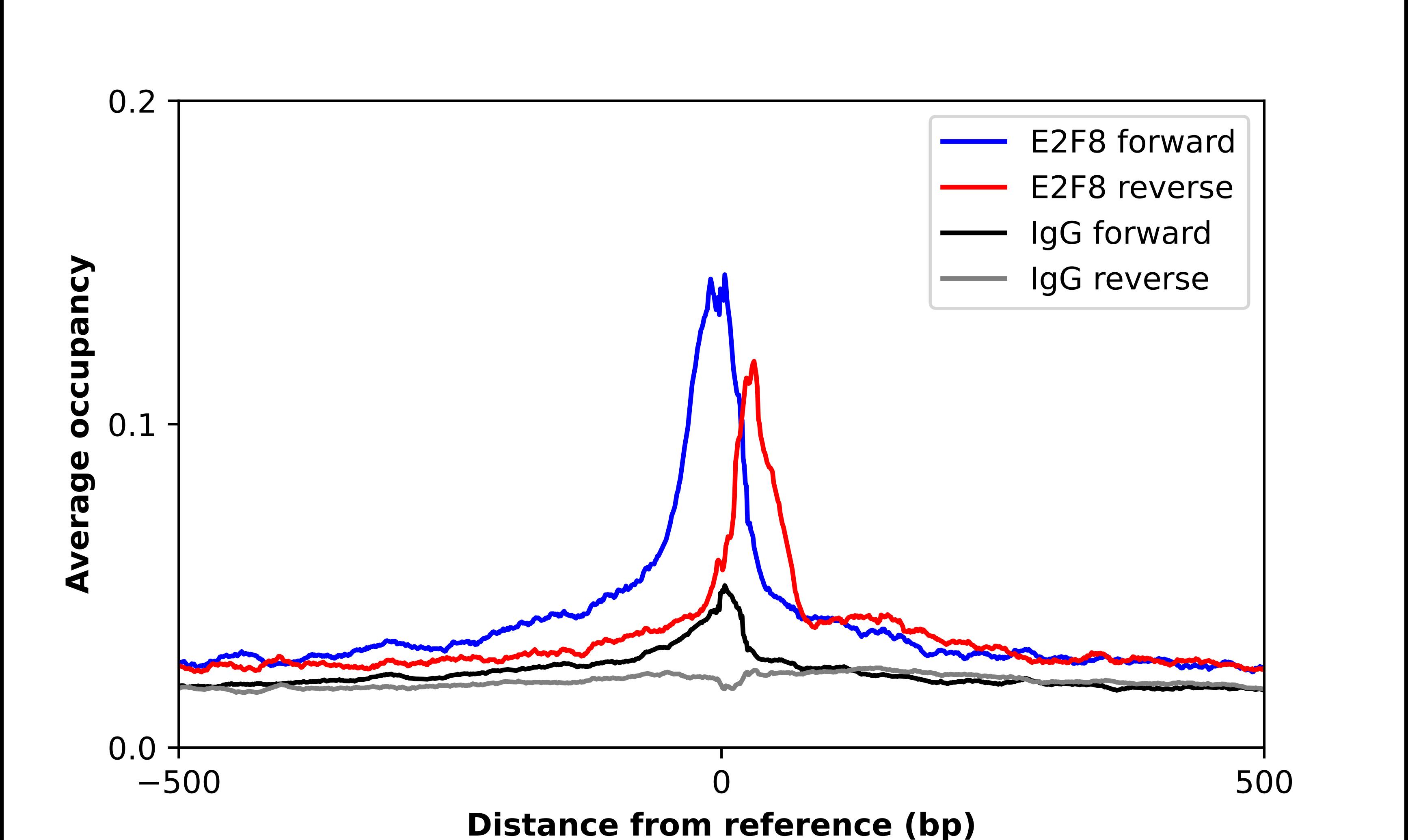 E2F8 Antibody - BSA Free Chromatin Immunoprecipitation-exo-Seq: E2F8 Antibody - BSA Free [NBP3-17838]