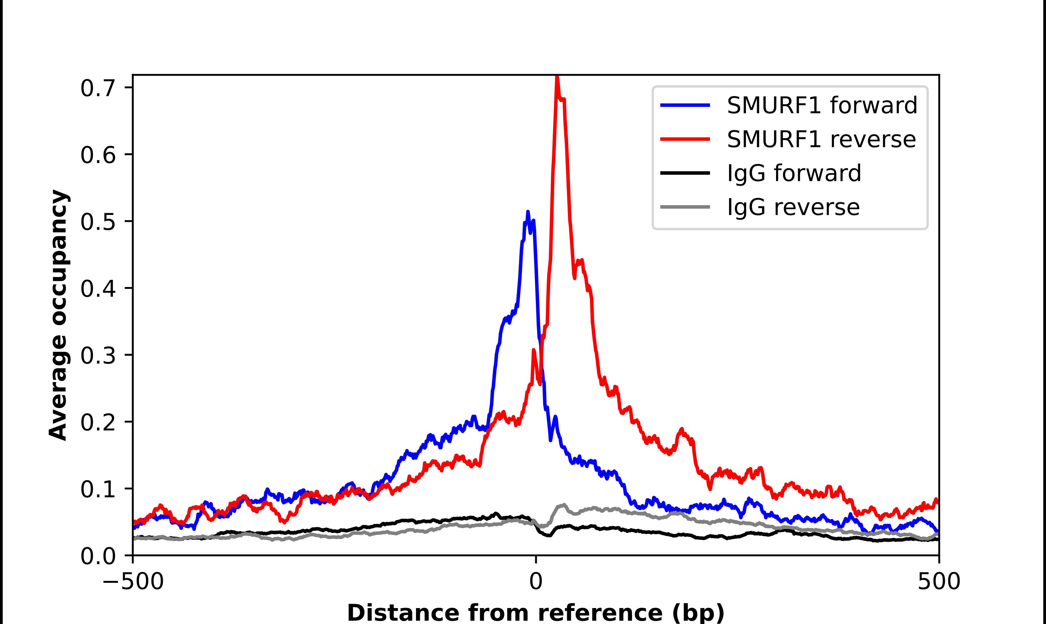 SMURF1 Antibody - BSA Free Chromatin Immunoprecipitation-exo-Seq: SMURF1 Antibody - BSA Free [NBP3-17934]