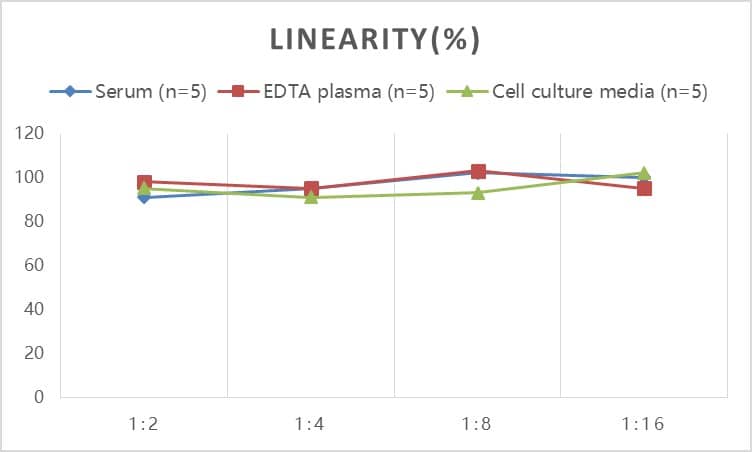 Human Angiopoietin-like Protein 2/ANGPTL2 ELISA Kit (Colorimetric)