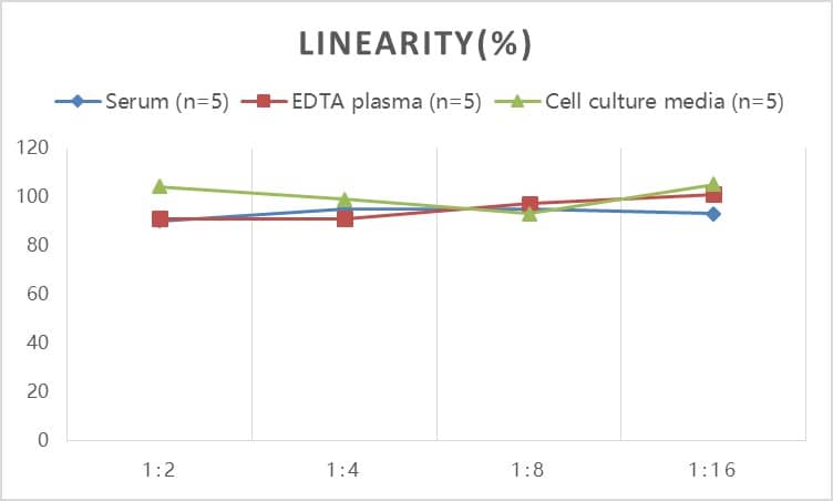 Human Biglycan ELISA Kit (Colorimetric)