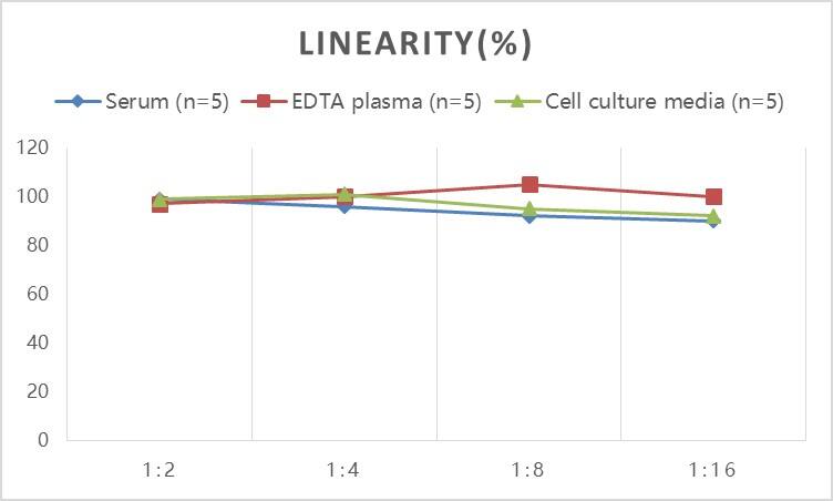 Human Gas6 ELISA Kit (Colorimetric)