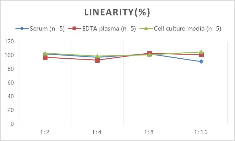 Mouse HO-1/HMOX1/HSP32 ELISA Kit (Colorimetric)