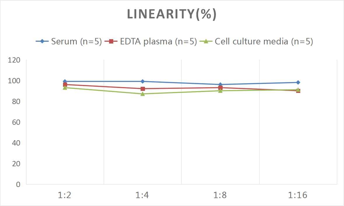 Rat M-CSF ELISA Kit (Colorimetric)