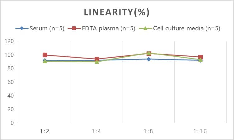 Rat MIS/AMH ELISA Kit (Colorimetric)